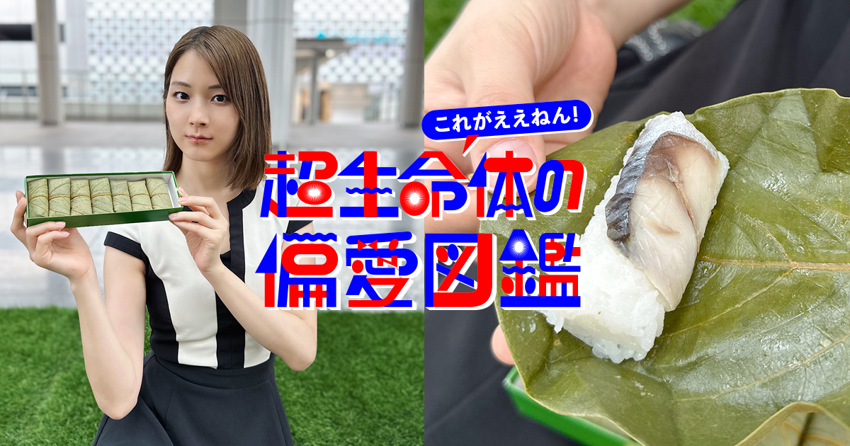 媚びない手軽さ。鉄道ひとり旅のベストオブ駅弁 by SAORI