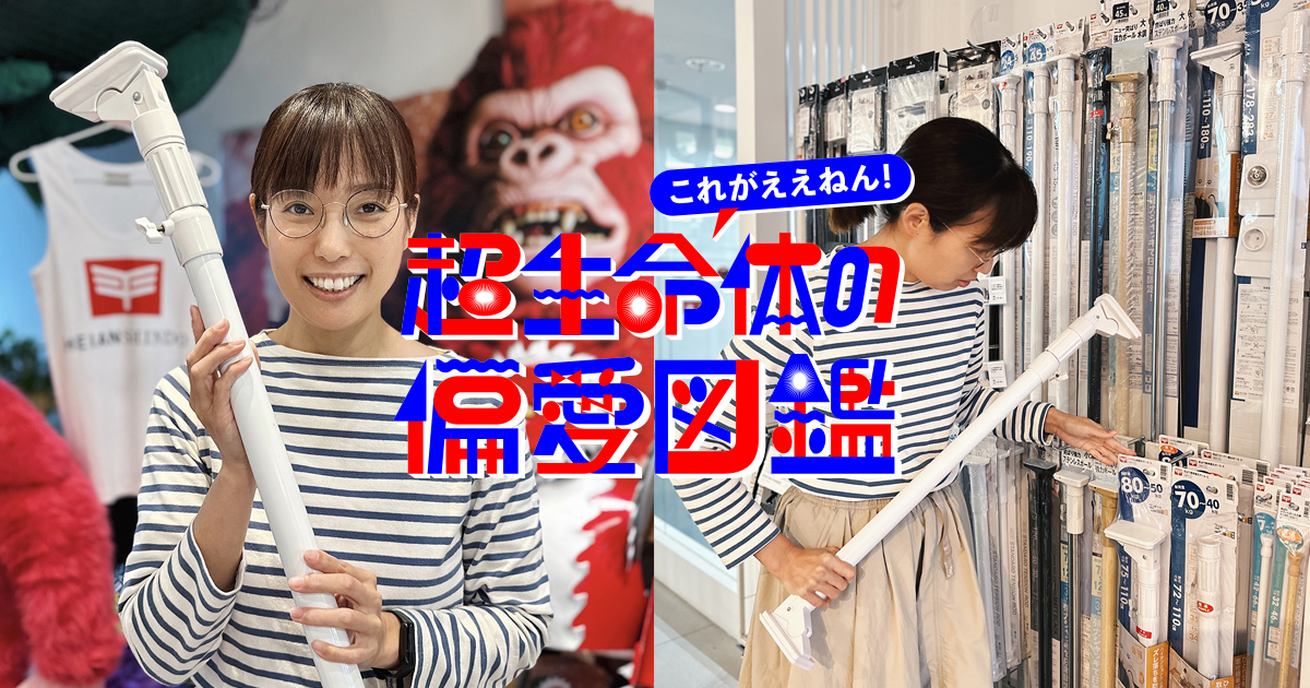 ド素人からつっぱり棒博士に！ 隙間を埋めまくる「暮らしの相棒」by